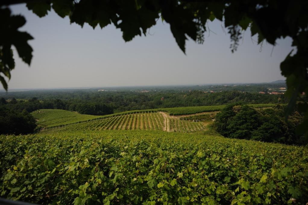 Locanda Villa Cavalleri Gattinara Zewnętrze zdjęcie